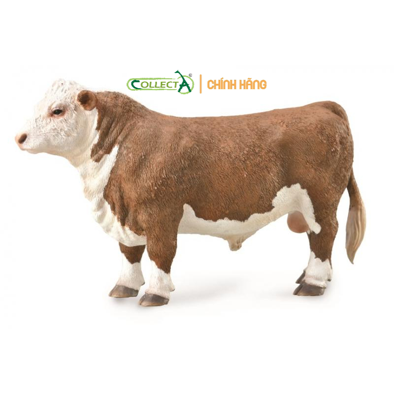 Mô hình động vật: Bò Hereford - Đực ( Chính hãng)