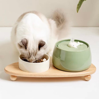  Combo bình lọc nước máy lọc nước kèm bát ăn cho chó mèo chất liệu gốm sứ cao cấp - 4pets official 