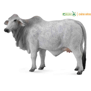 Mô hình động vật: Bò mẹ Brahman