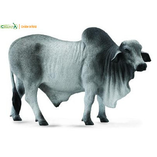 Mô hình động vật: Bò bố Brahman