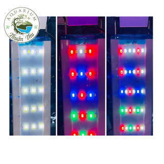 Đèn máng 80cm 120 cm 6 dãy led 3 chế độ màu rgb 10000k kaokui cho bể cá bể thủy sinh siêu rẻ