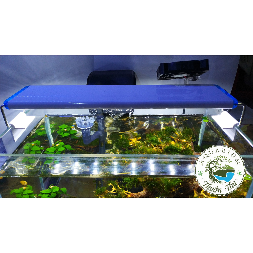 Đèn máng 80cm 120 cm 6 dãy led 3 CHẾ độ màu RGB 10000K KaoKui cho bể cá bể thủy sinh siêu rẻ