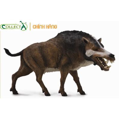 Mô hình động vật tiền sử Daeodon - Tỷ lệ 1:20 ( Chính hãng)