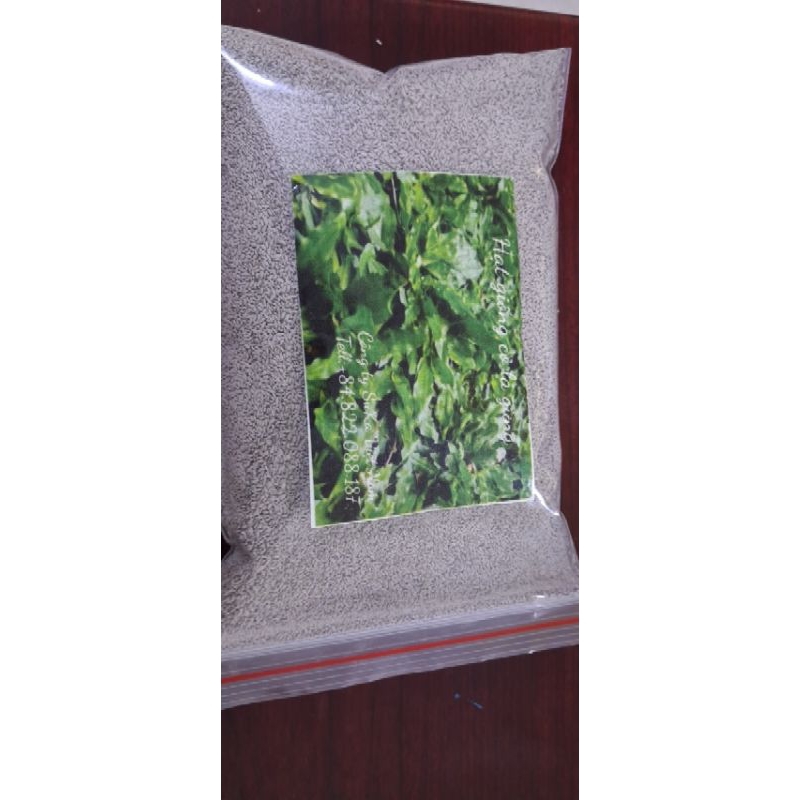 Hạt giống cỏ lá gừng (chuẩn mỹ) 1kg