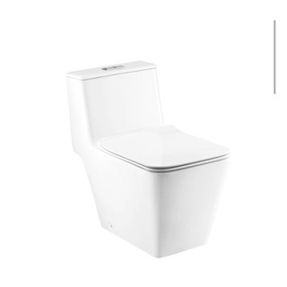 Nắp đậy bồn cầu vuông bồn cầu cotto c10327 nắp rơi êm có đầy đủ ốc vít để gắn