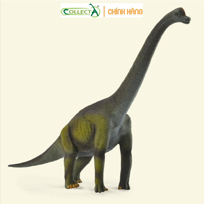 Mô hình khủng long Brachiosaurus ( Chính hãng )