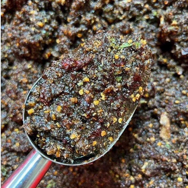 Chẩm Chéo Ướt Tây Bắc hộp 300gr