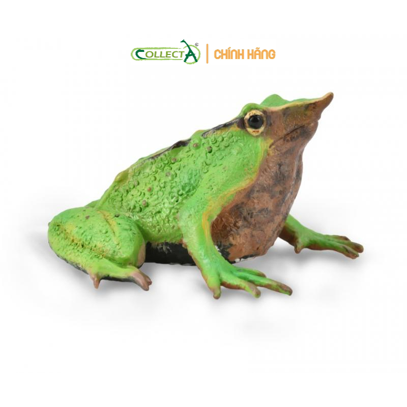 Mô hình động vật: Ếch Darwin ( Chính hãng)