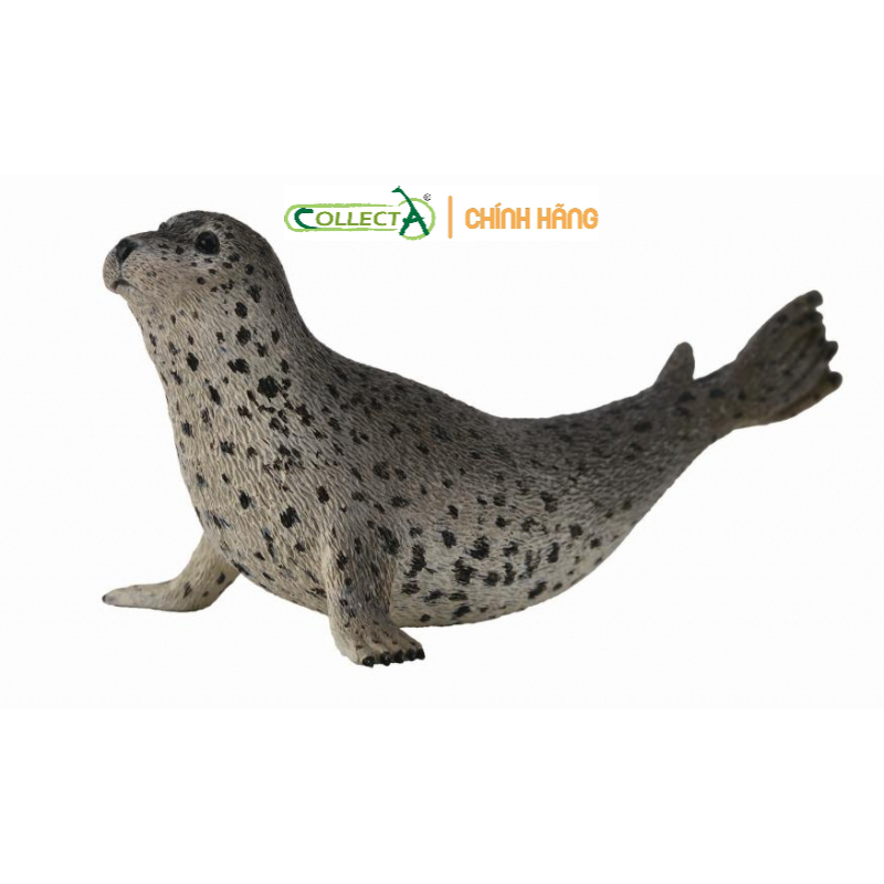 Mô hình động vật:: Hải Cẩu Đốm ( Chính hãng)
