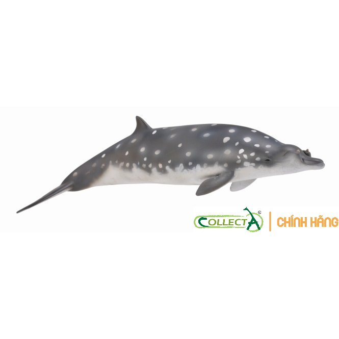 Mô hình động vật: Cá Voi Mõm Khoằm Blainville