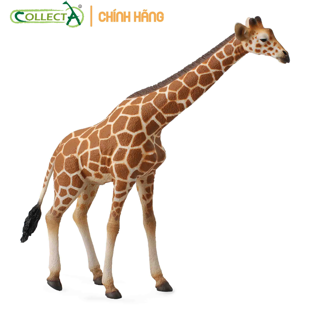 Mô hình động vật: Hươu Cao Cổ ( Chính hãng)