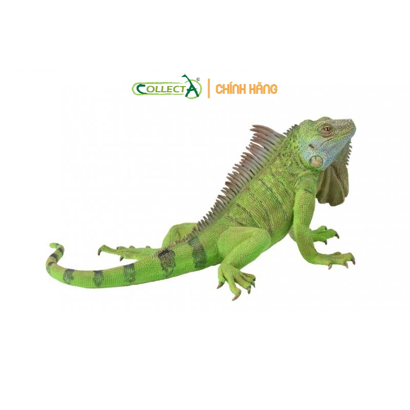 Mô hình động vật: Kỳ Nhông ( Chính hãng)