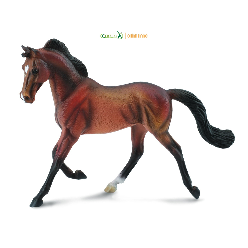 Mô hình động vật: Ngựa Thoroughbred ( Chính hãng)