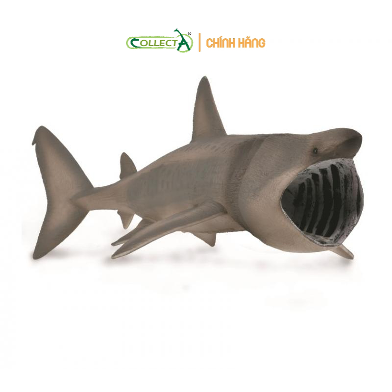 Mô hình động vật: Cá Mập Basking ( Chính hãng)