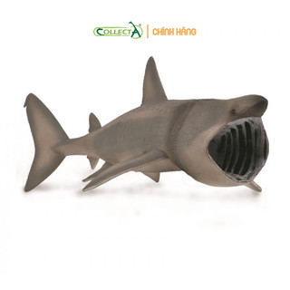 Mô hình động vật: Cá Mập Basking