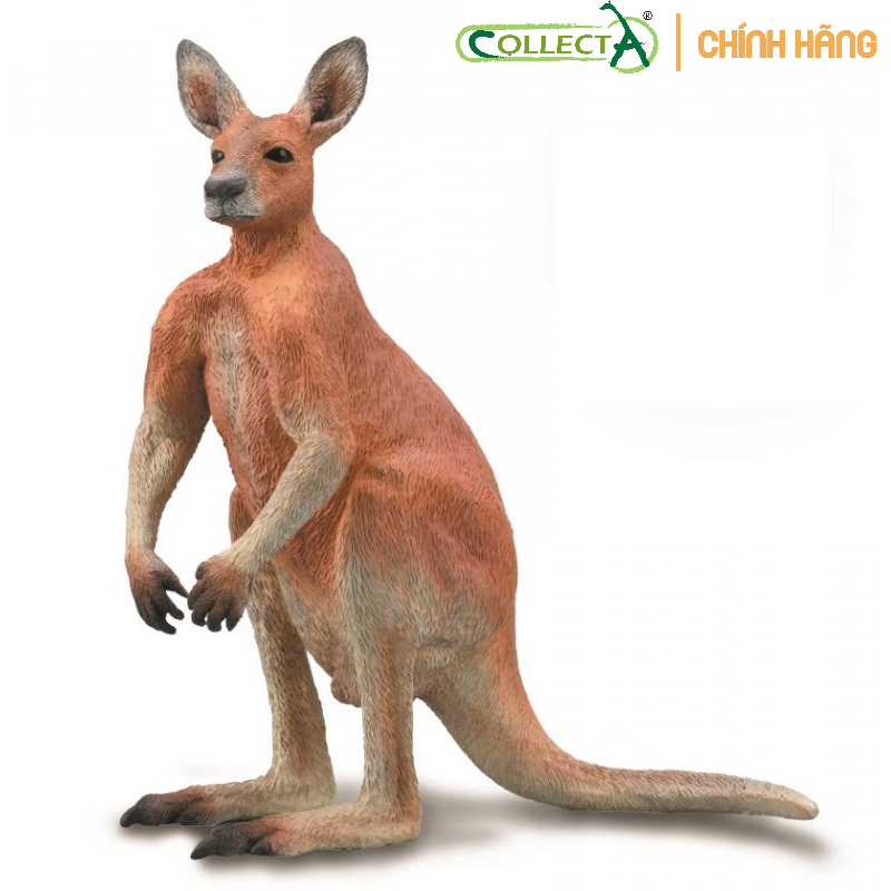 Mô hình động vật: Kangaroo Đực