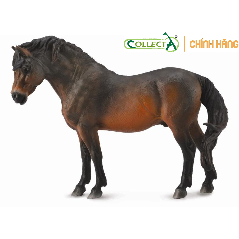 MÔ HÌNH ĐỘNG VẬT: Ngựa Dartmoor Pony Bay