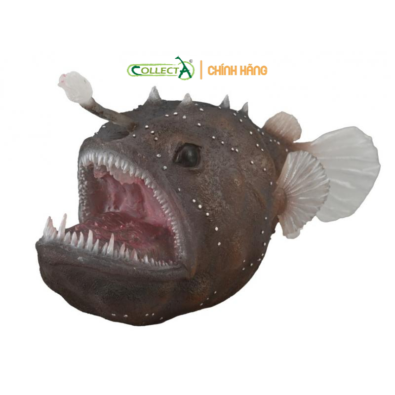 Mô hình động vật: Cá Vây Chân ( Chính hãng)