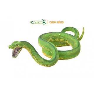 Mô hình động vật: Trăn Cây Xanh