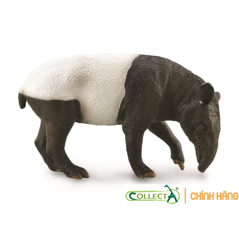 Mô hình động vật: Lợn Vòi Mã Lai ( Chính hãng)