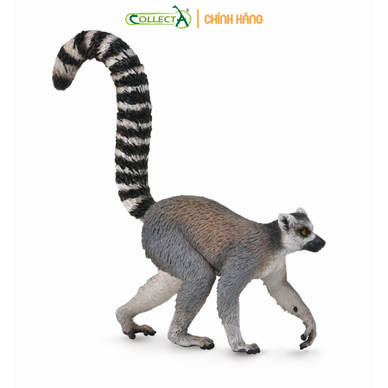 Mô hình động vật: Vượn Cáo Đuôi Vòng