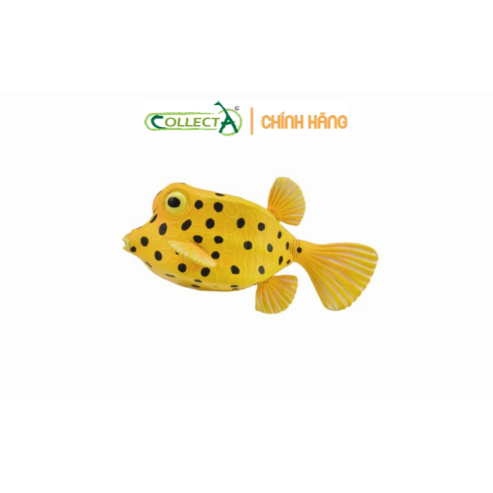 Mô hình động vật: Cá hộp ( Chính hãng)