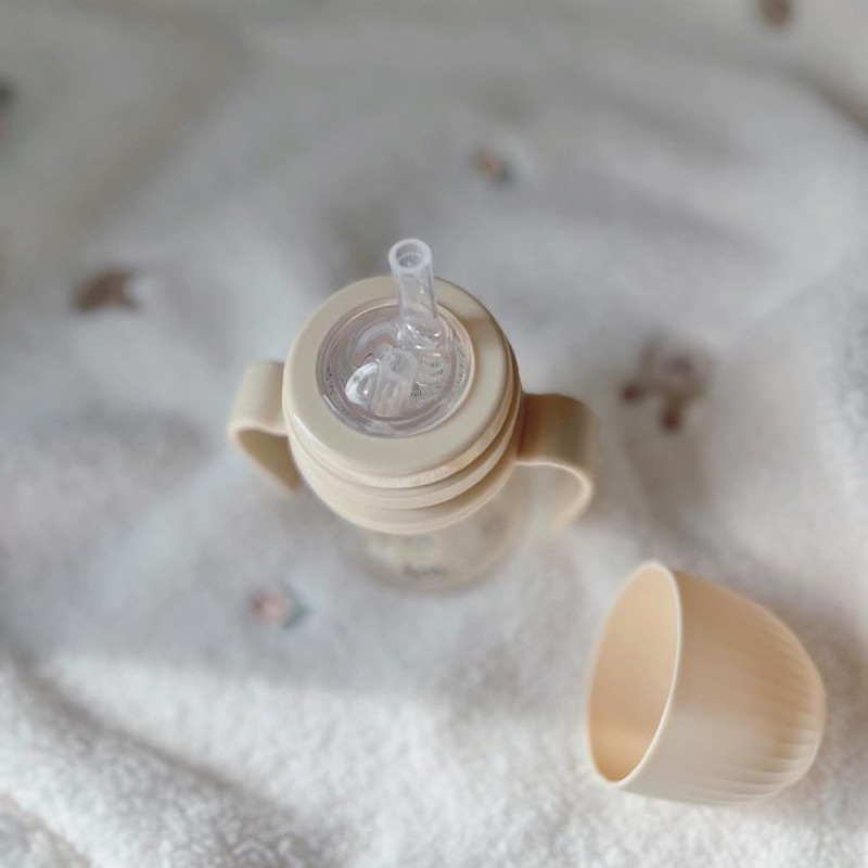 Bình Thỏ/ Sóc Tovi and Molly 180ml/280ml Hàn Quốc chính hãng