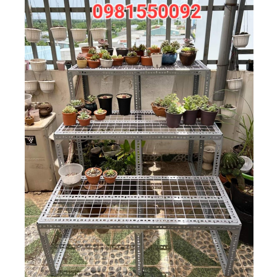Kệ Sắt V LỖ Bậc Thang ( Vỉ lưới sắt ô vuông) nhiều kích thước lựa chọn ,kệ trồng sen đá bon sai ,chậu hoa hồng...