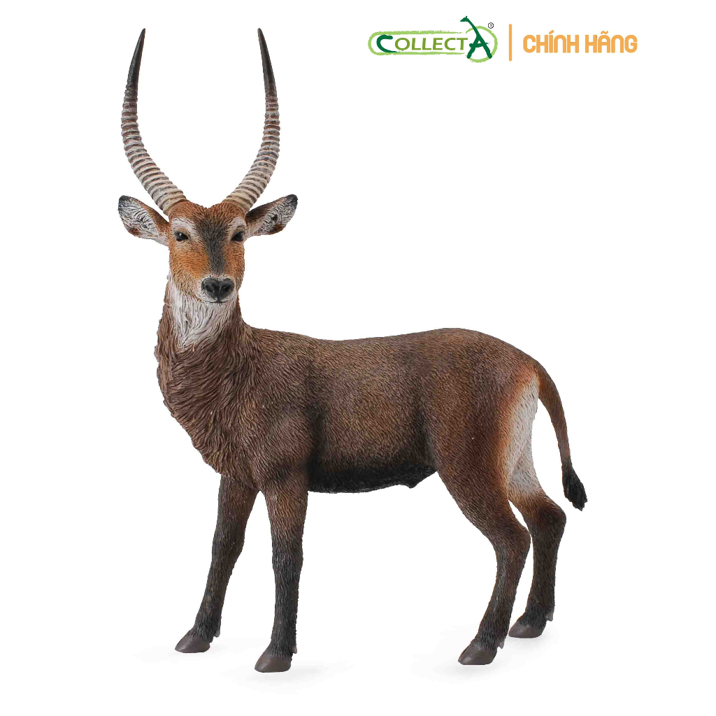 Mô hình động vật - Linh dương nước ( Chính hãng)