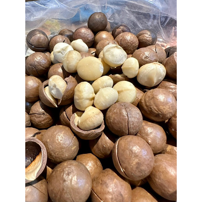 Hạt maca macca nứt vỏ Đắk Lắk 250gr - size đại - tặng kèm tách vỏ