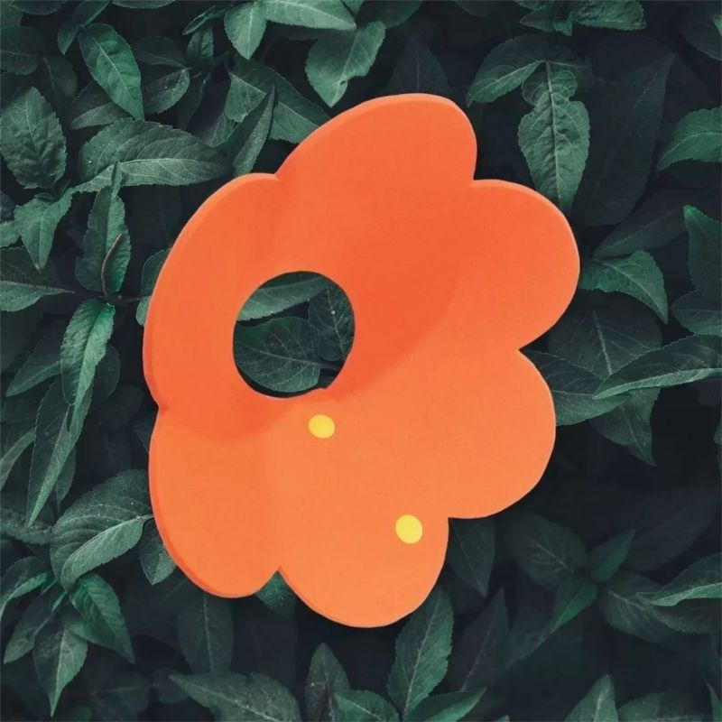 Loa chống liếm cho mèo