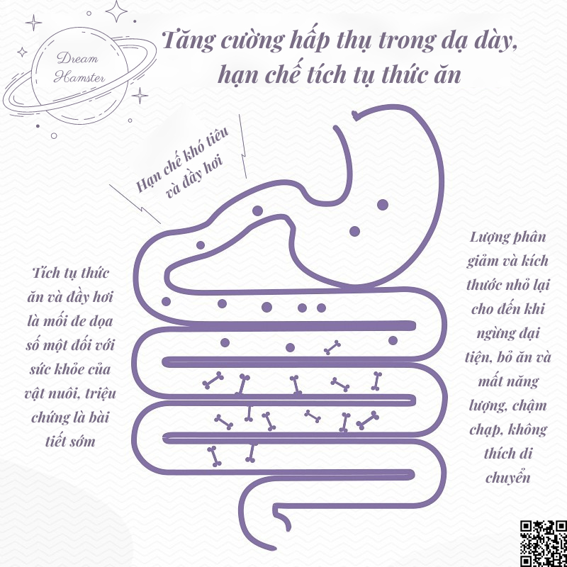 Rau diếp xoăn tự nhiên Yee mài răng, làm đẹp da và lông cho hamster, thỏ, bọ, chinchilla,...