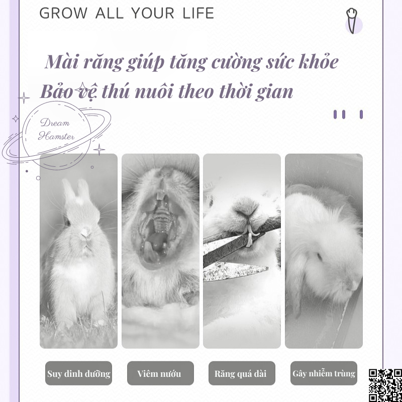 Rau diếp xoăn tự nhiên Yee mài răng, làm đẹp da và lông cho hamster, thỏ, bọ, chinchilla,...