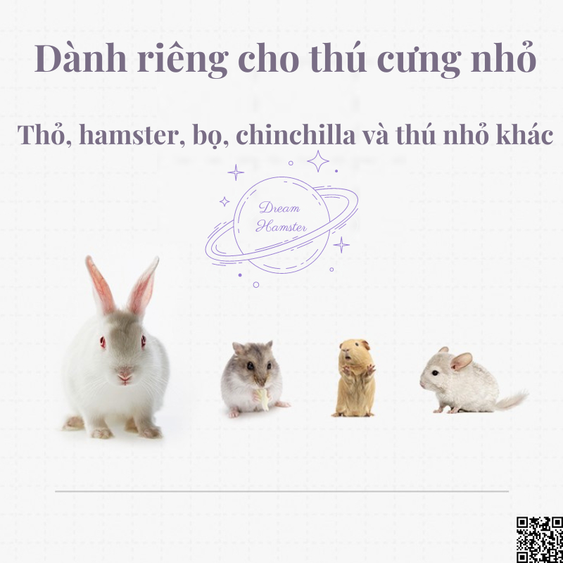 Rau diếp xoăn tự nhiên Yee mài răng, làm đẹp da và lông cho hamster, thỏ, bọ, chinchilla,...