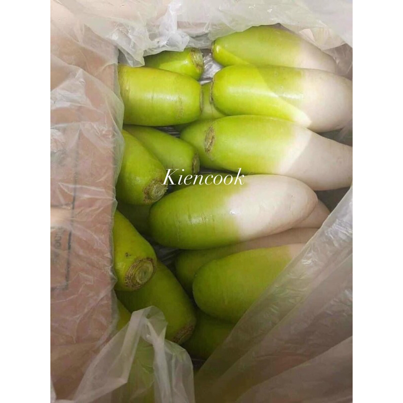 Củ Cải Hàn Quốc 1kg [Hàng nhập Khẩu]