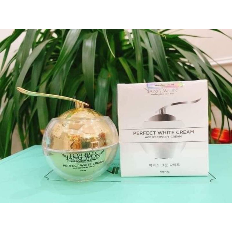 Kem dưỡng da ban đêm doctor queen