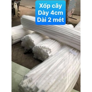 xốp cây dẻo đa năng