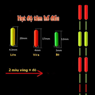 Nấm phao độ tăm phao bé thành phao tăm to dễ nhìn