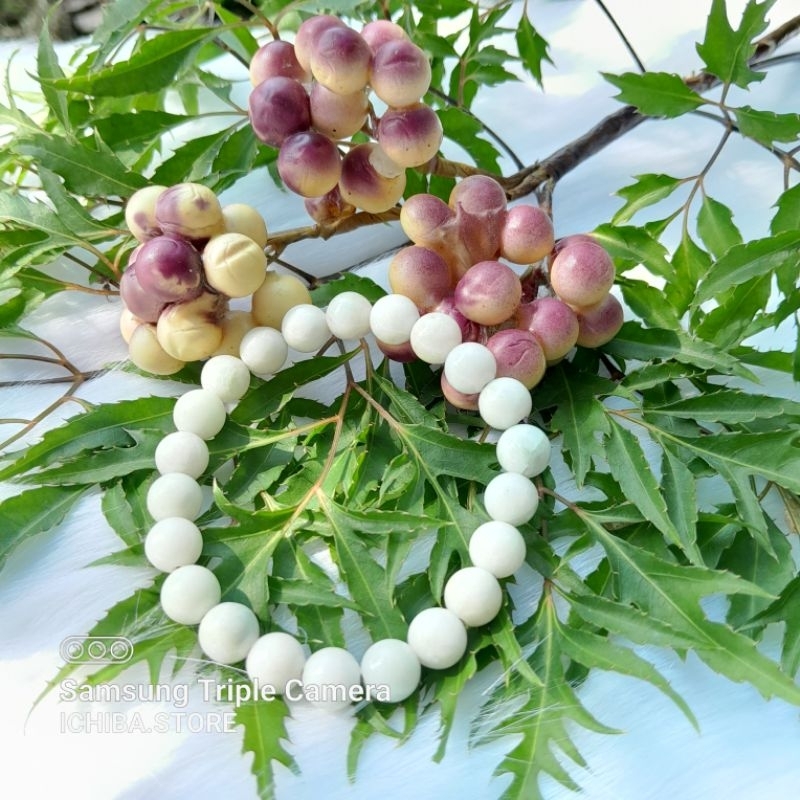 Vòng tay chuỗi hạt C h a n c l e d o n y trắng 8mm