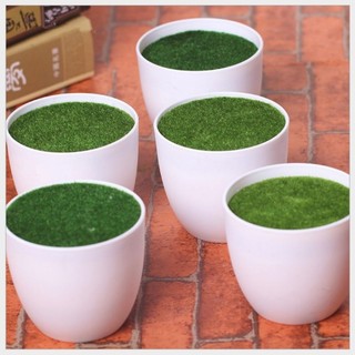 Chậu nhựa cắm hoa phủ rêu. trồng cây giả trang trí