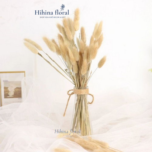 Cỏ Đuôi Thỏ Hoa Khô Dùng Để Trang Trí Phòng Ngủ, Bàn Làm Việc,Làm Thiệp Handmade