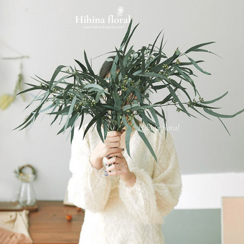 Lá Bạch Đàn Khô Decor Trang Trí
