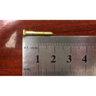 Combo 100 Con Vít đồng thau 3x20mm