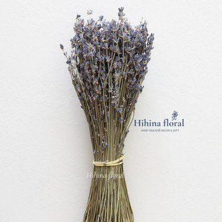 Hoa khô Lavender Hoa oải hương khô decor trang trí