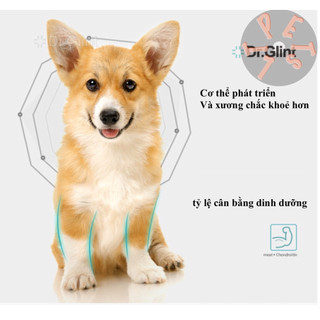 Thức ăn cho chó CORGI - Dr.Glint TÚI 2kg