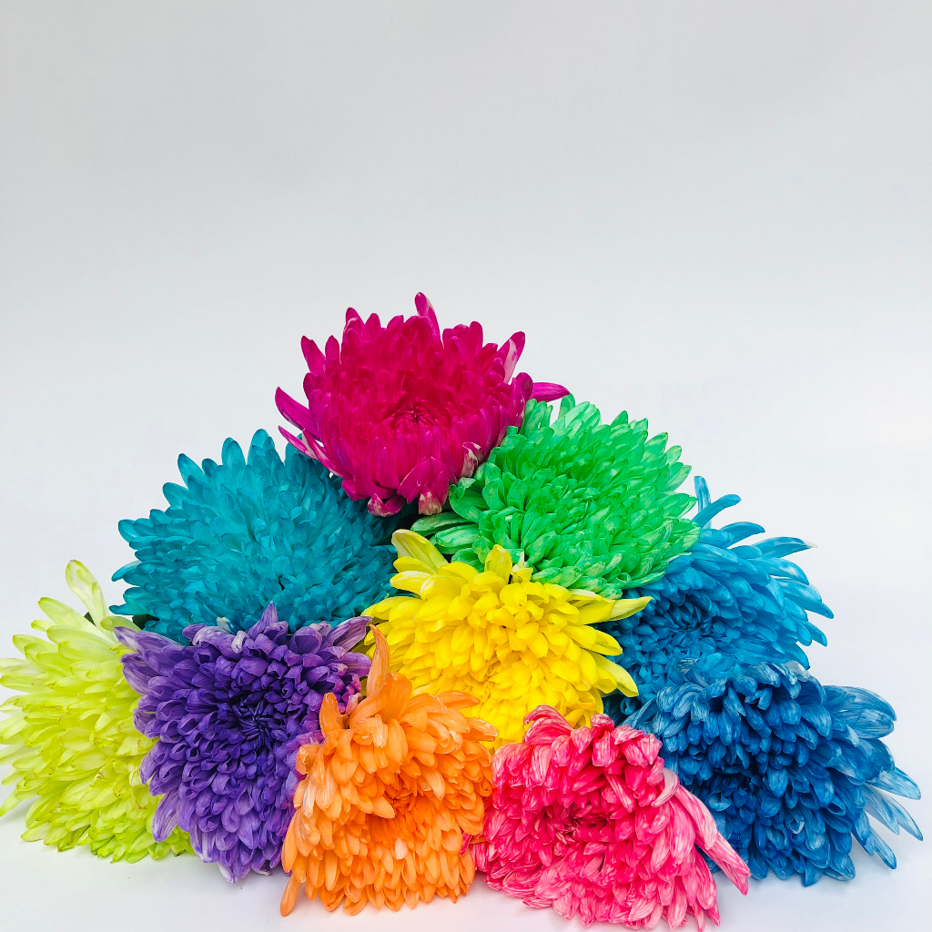 Nước nhuộm hoa tươi đổi màu Color Sodium nhập khẩu Israel, thuốc nhuộm hoa cắt cành lên màu nhanh chai 500ml