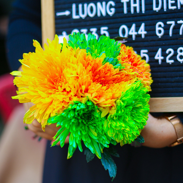 Nước nhuộm hoa tươi đổi màu Color Sodium nhập khẩu Israel, thuốc nhuộm hoa cắt cành lên màu nhanh chai 500ml