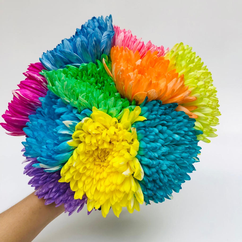 Nước nhuộm hoa tươi đổi màu Color Sodium nhập khẩu Israel, thuốc nhuộm hoa cắt cành lên màu nhanh chai 500ml