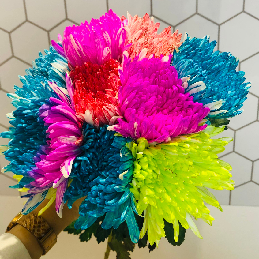 Nước nhuộm hoa tươi đổi màu Color Sodium nhập khẩu Israel, thuốc nhuộm hoa cắt cành lên màu nhanh chai 500ml