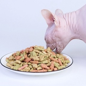 Bánh thưởng xốp cho mèo hình cá dinh dưỡng 100g vị bò bạc hà, snack vặt huấn luyện mèo con Con Mèo Xiêm